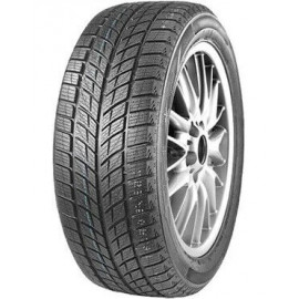 Шини Doublestar WINTERKING DW09 215/45 R17 91H XL